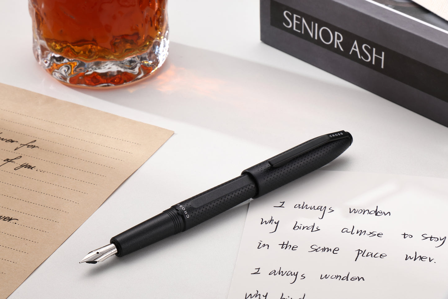 Prism Obsidian Black Resin with Polished Chrome Stainless Steel Fine Nib Fountain Pen
